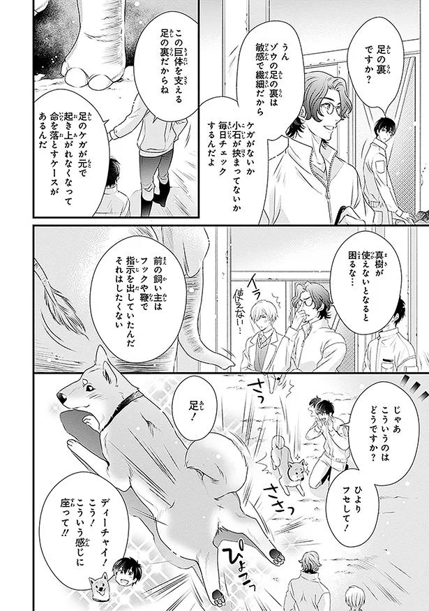 こういうのはどうですか？