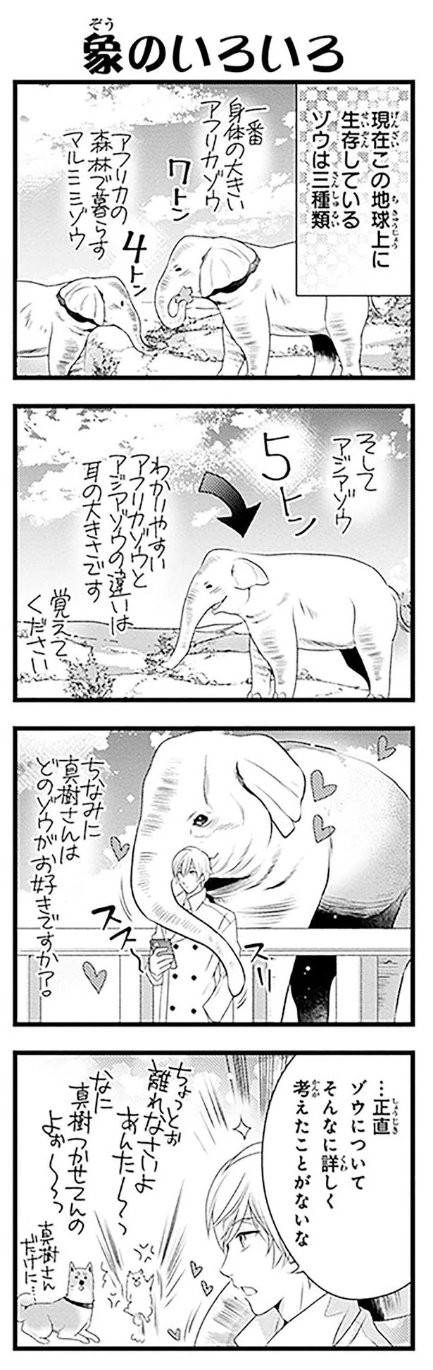 象のいろいろ