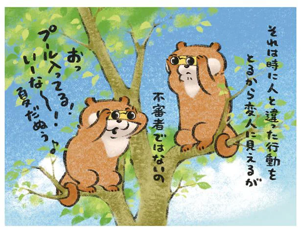不審者ではないの。木の上から遠くの景色を見ていたら… （9）