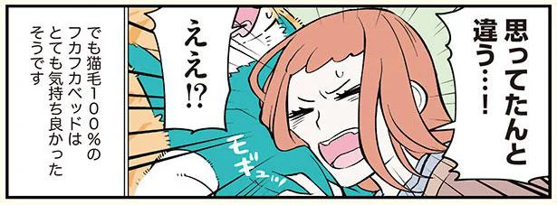 思ってたんと違う…!
