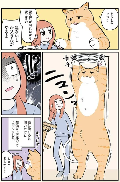 危ないしお父さんがやるよ