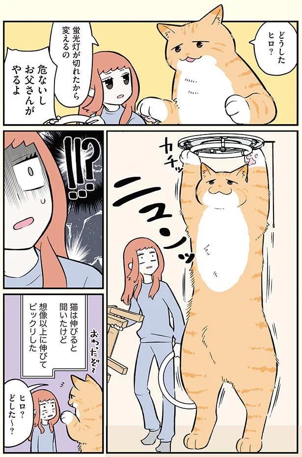 危ないしお父さんがやるよ