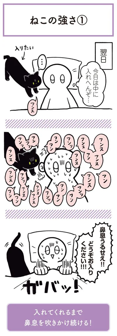 鼻息！！