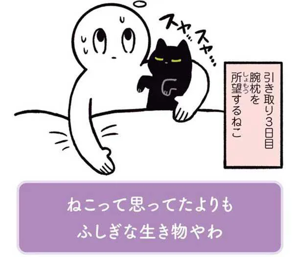 ねこって思ってたよりもふしぎな生き物