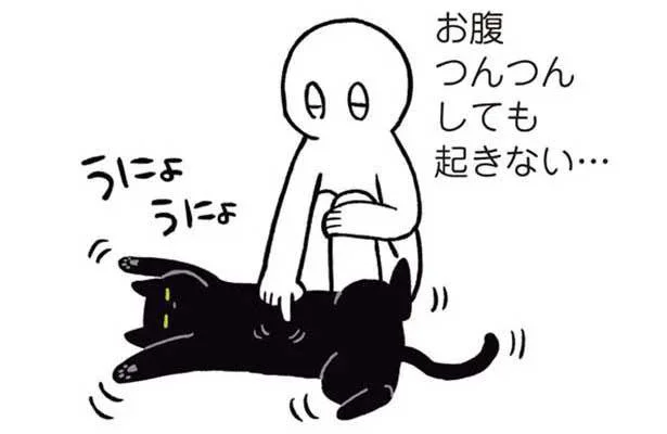 お腹つんつんしても起きない…