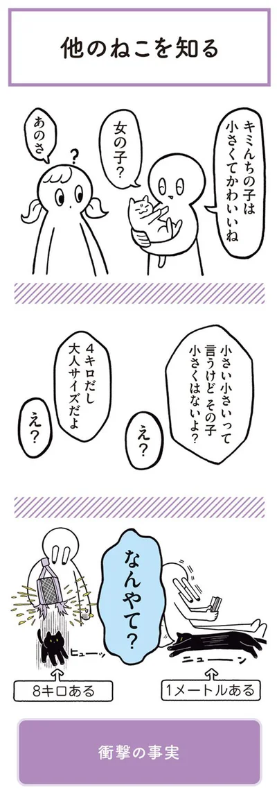 小さくてかわいいね