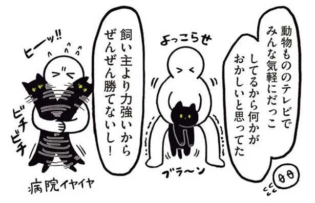 友人の飼い猫が大人サイズ。じゃあうちの子はその倍!?／黒猫ろんと暮らしたら（6）