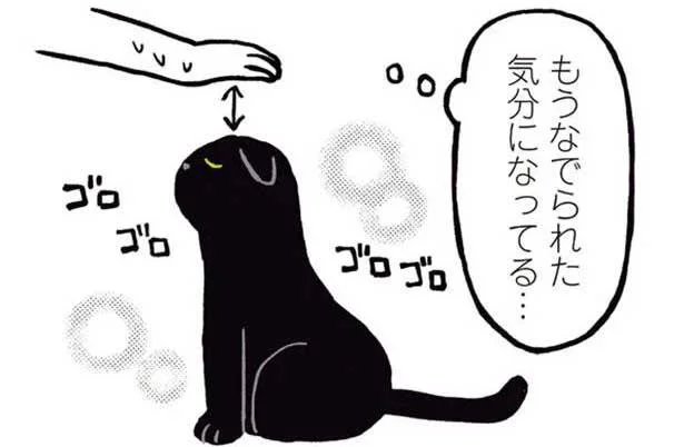 耳を下げてゴロゴロ。「エアなでなで」でもうれしそう！／黒猫ろんと暮らしたら（7）