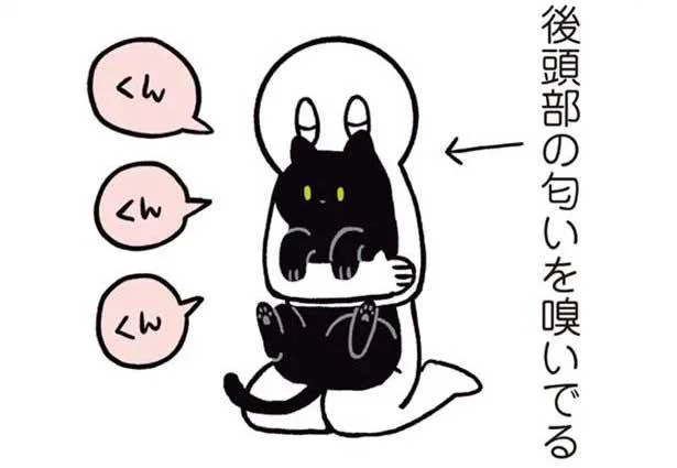 くんくんくん…。うちの子はお日様の匂いがする／黒猫ろんと暮らしたら（9）