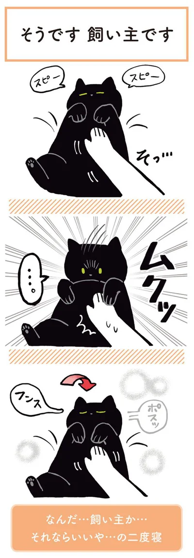 なんだ…飼い主か…