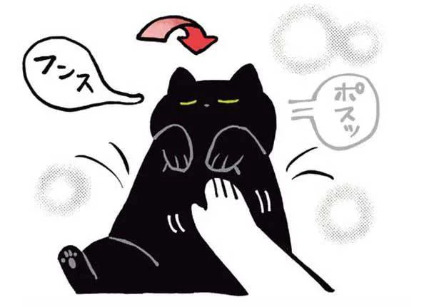 二度寝するねこ