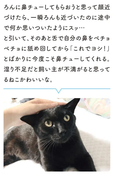 ねこかわいいな