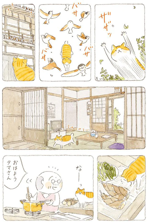 おはようタマさん