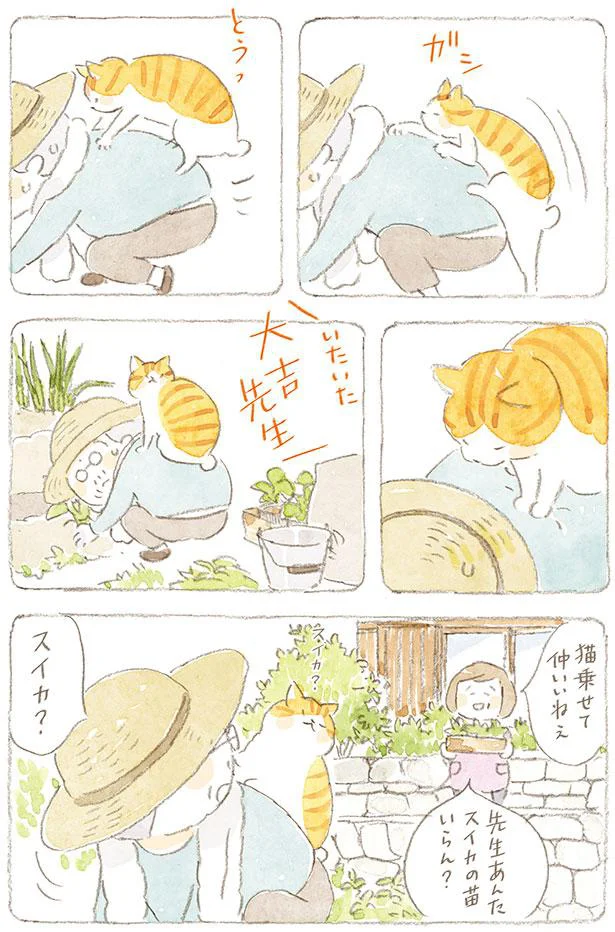 猫乗せて仲いいねぇ