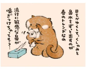 くしゃみと鼻水は春のトレンド？ 花粉症じゃないと言い張るカワウソのナゾ理論（6）