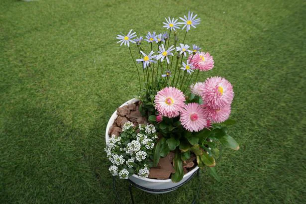 満開になった寄せ植えにしてから10日後の鉢植え