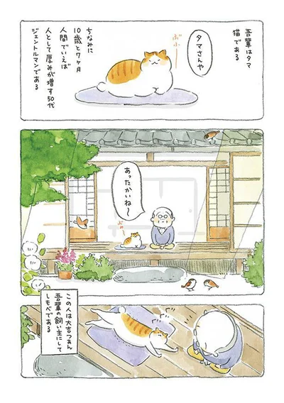 タマさんや