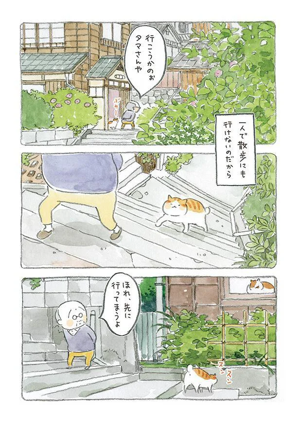 行こうかのぉ　タマさんや