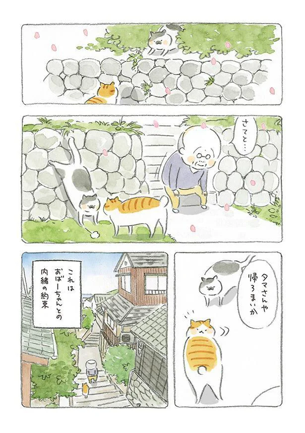 タマさんや　帰ろまいか