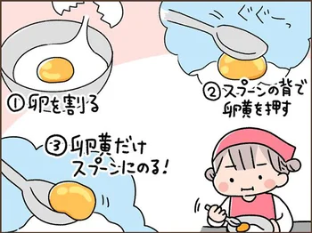 卵を卵黄、卵白に分ける作業