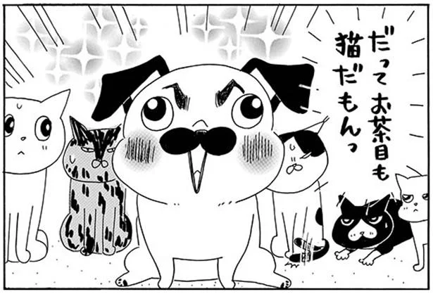 だって猫だもん!