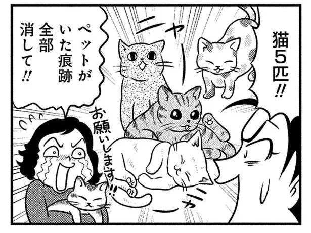 ペット不可の賃貸で猫5匹!