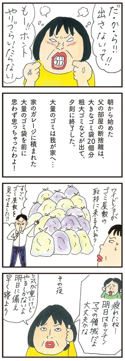 大きなゴミ袋20個分