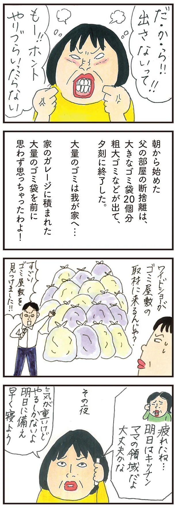 大きなゴミ袋20個分