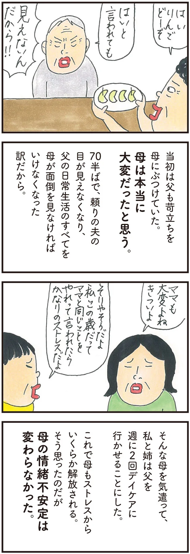 母の情緒不安定は変わらなかった