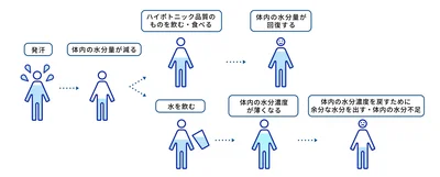 汗をかいた時などに効率的に体内の水分量を回復することができる“ハイポトニック品質”