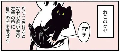 ねこのクセ