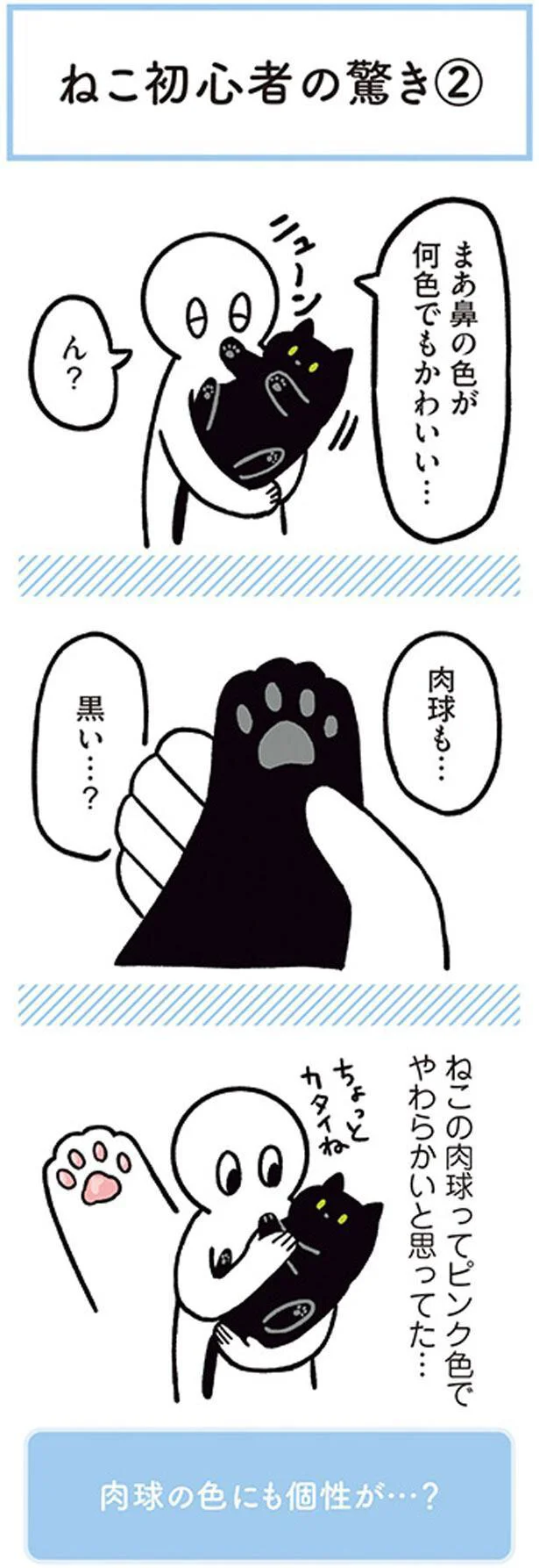 肉球の色にも個性がある ねこ初心者のおどろきポイント 黒猫ろんと暮らしたら 2 13 レタスクラブ