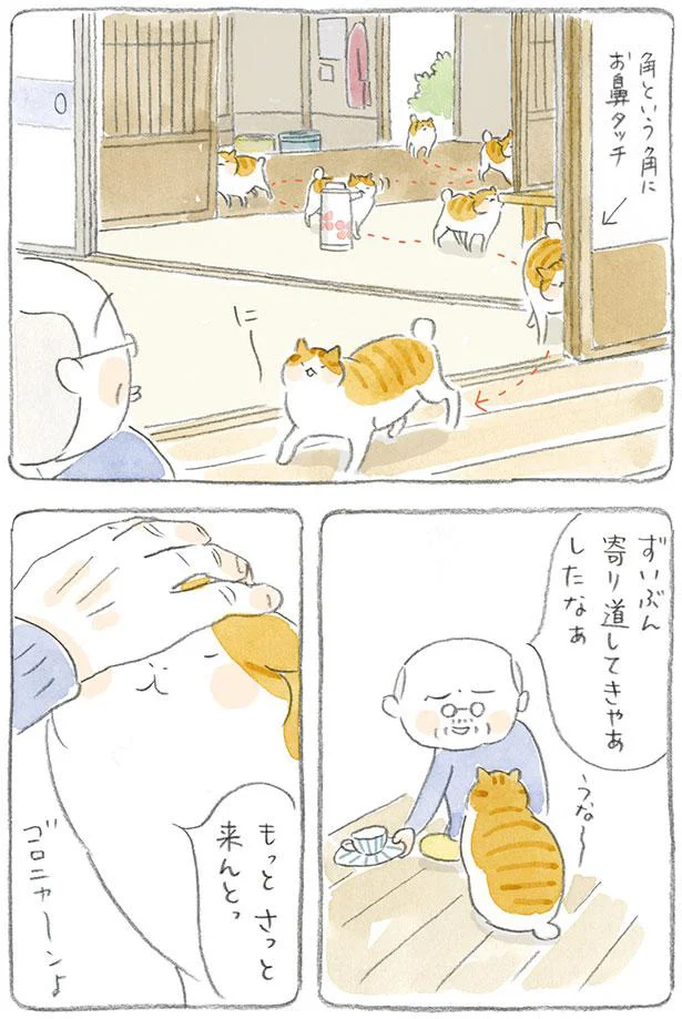 ずいぶん寄り道してきやあしたなあ