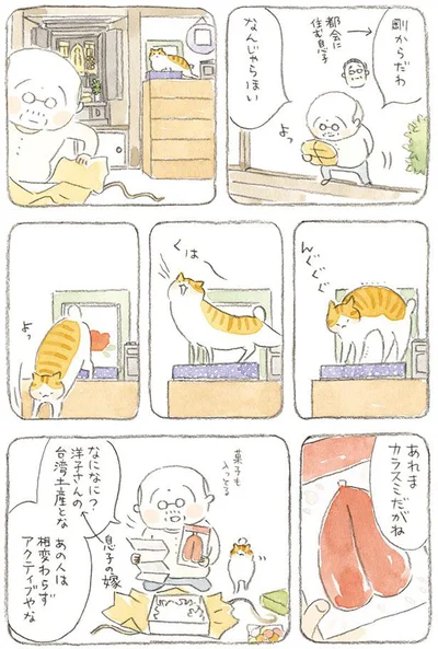 あれまカラスミだがね