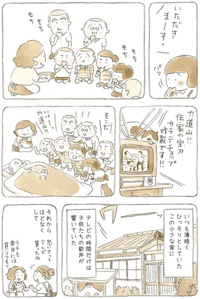 テレビの時間だけは子供たちの歓声が響いていた