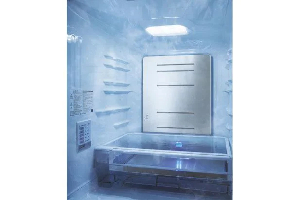 冷蔵室内の温度を均一にする「メタリッククールパネル」