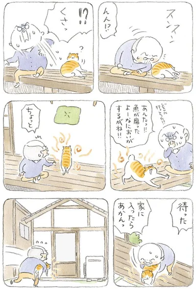 待った　家に入ったらあかんっ