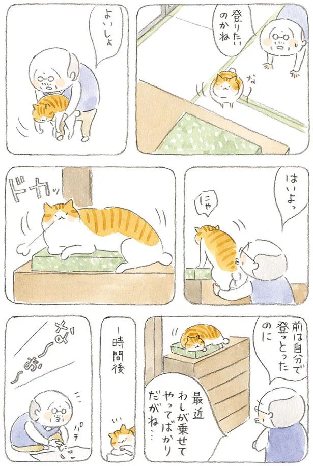 前は自分で登っとったのに