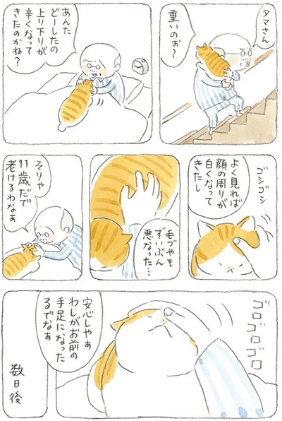 そりゃ11歳だで　老けるわなぁ