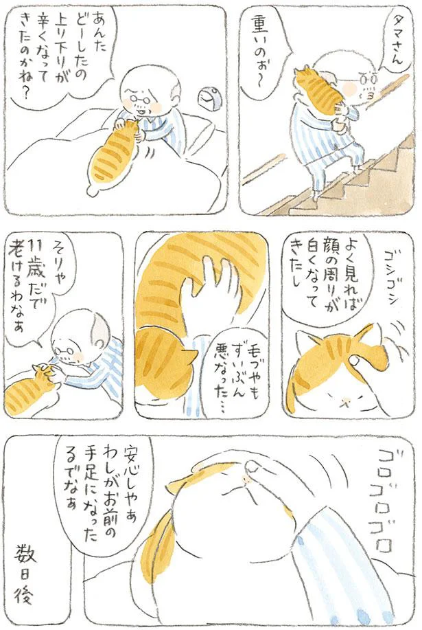 そりゃ11歳だで　老けるわなぁ