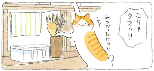 みつかったにゃ!!