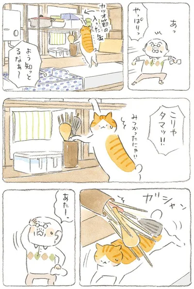 こりゃ　タマッ！！