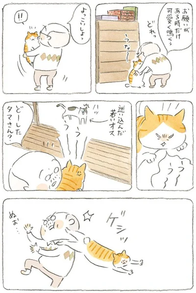 どーした　タマさん？