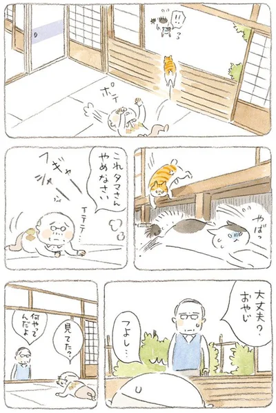 これタマさん　やめなさい