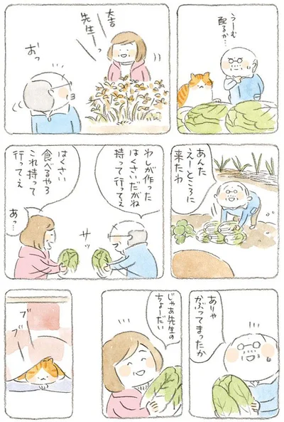 あんたえーところに来たわ