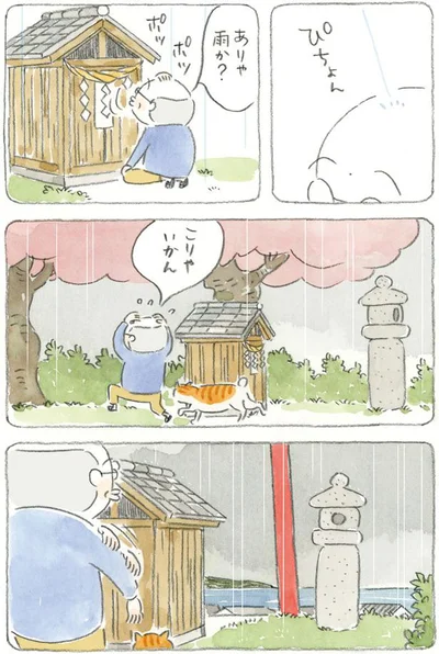 ありゃ、雨か？