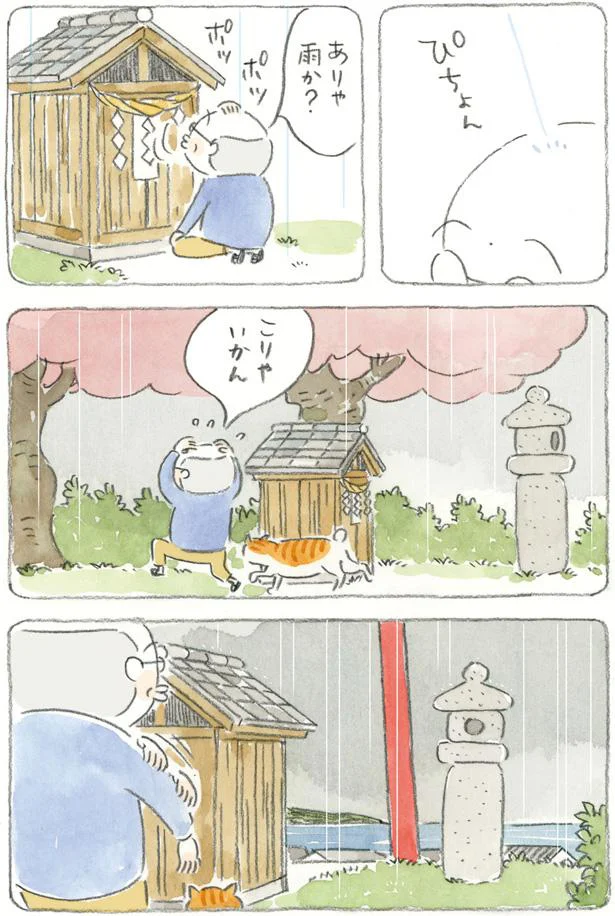 ありゃ、雨か？