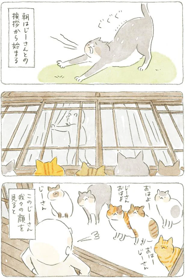 じーさんおはよ