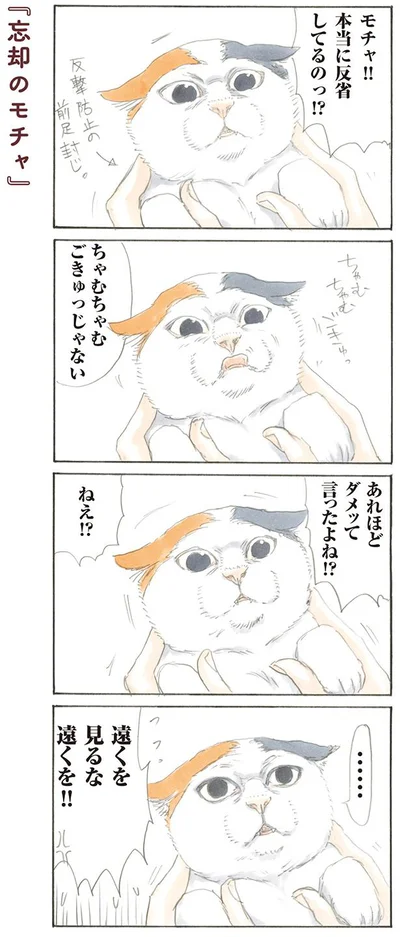 本当に反省してるのっ!?