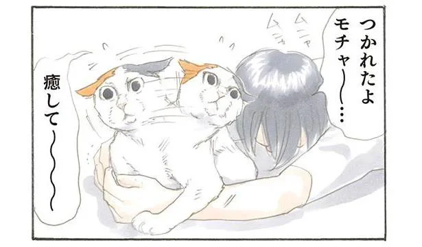 つかれたよモチャ~